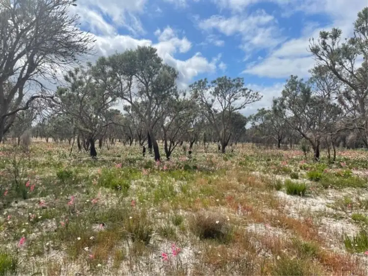 Fifth view of Homely land listing, 9 Cumming Rd, Oakford WA 6121