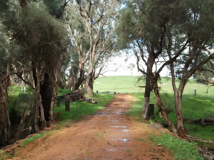 Third view of Homely rural property listing, Lot 101 Perup Road, Manjimup WA 6258