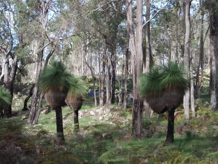 Fifth view of Homely rural property listing, Lot 101 Perup Road, Manjimup WA 6258