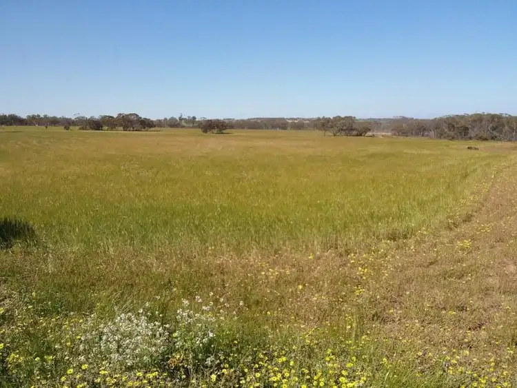 Seventh view of Homely rural property listing, Lot 100 Wyening East Road, Wyening WA 6568