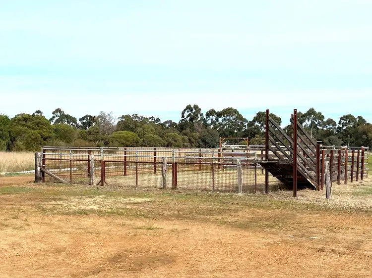 Fourth view of Homely house listing, 1474 Pinjarra Road, Ravenswood WA 6208