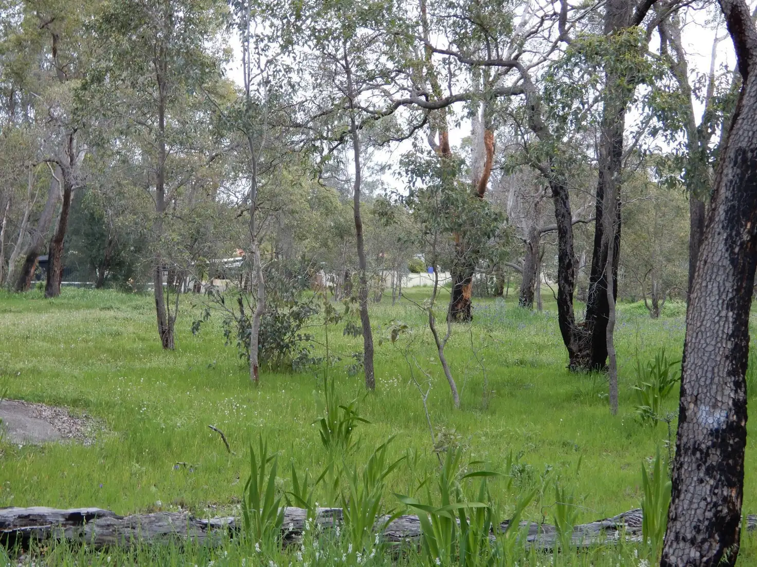 Main view of Homely land listing, 1015 Pechey Road, Swan View WA 6056