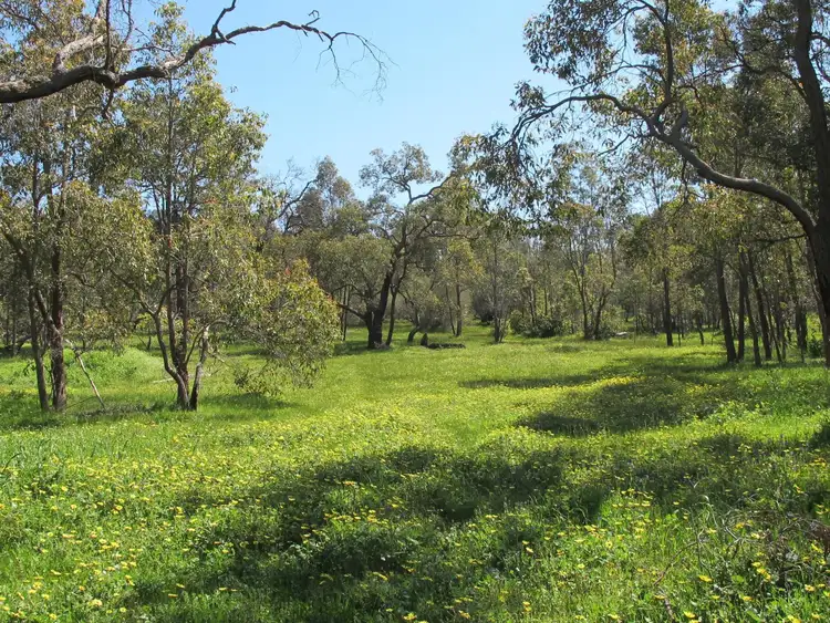 Second view of Homely land listing, 1015 Pechey Road, Swan View WA 6056