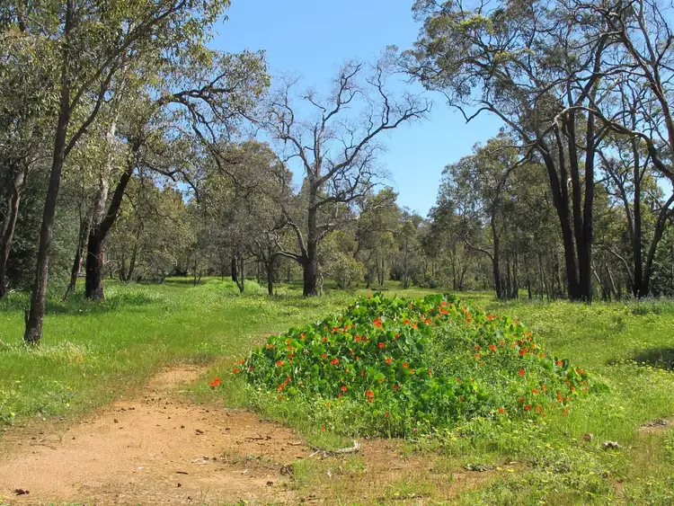 Third view of Homely land listing, 1015 Pechey Road, Swan View WA 6056