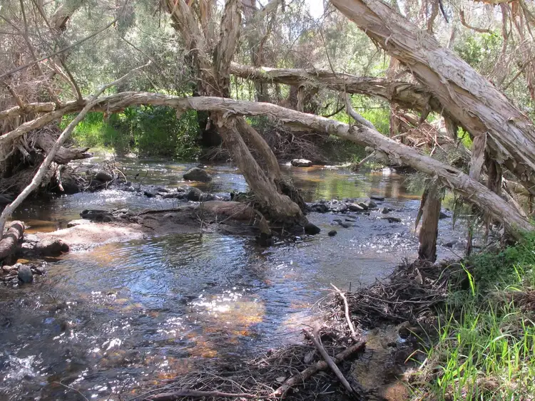 Fourth view of Homely land listing, 1015 Pechey Road, Swan View WA 6056