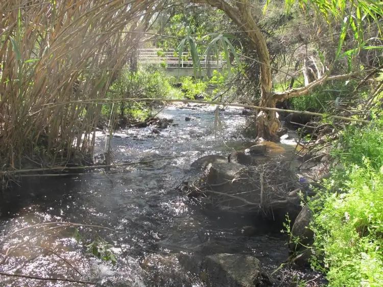 Sixth view of Homely land listing, 1015 Pechey Road, Swan View WA 6056