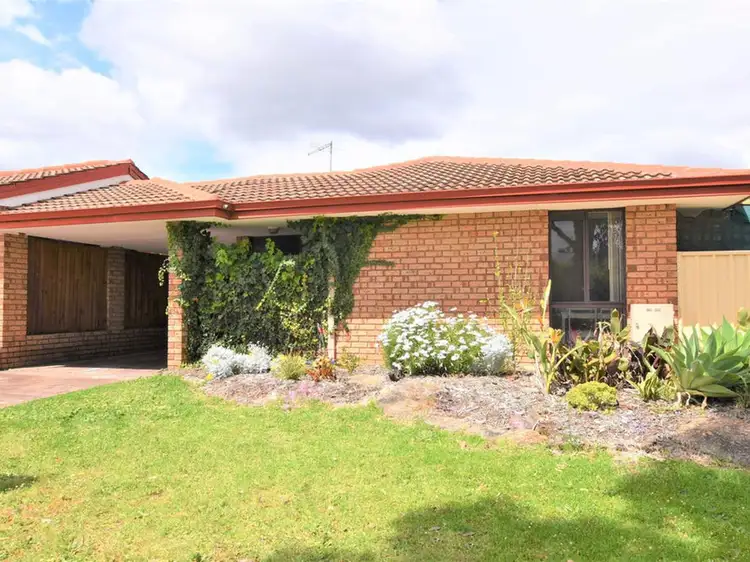 Main view of Homely unit listing, 1/390 Morrison Road, Swan View WA 6056