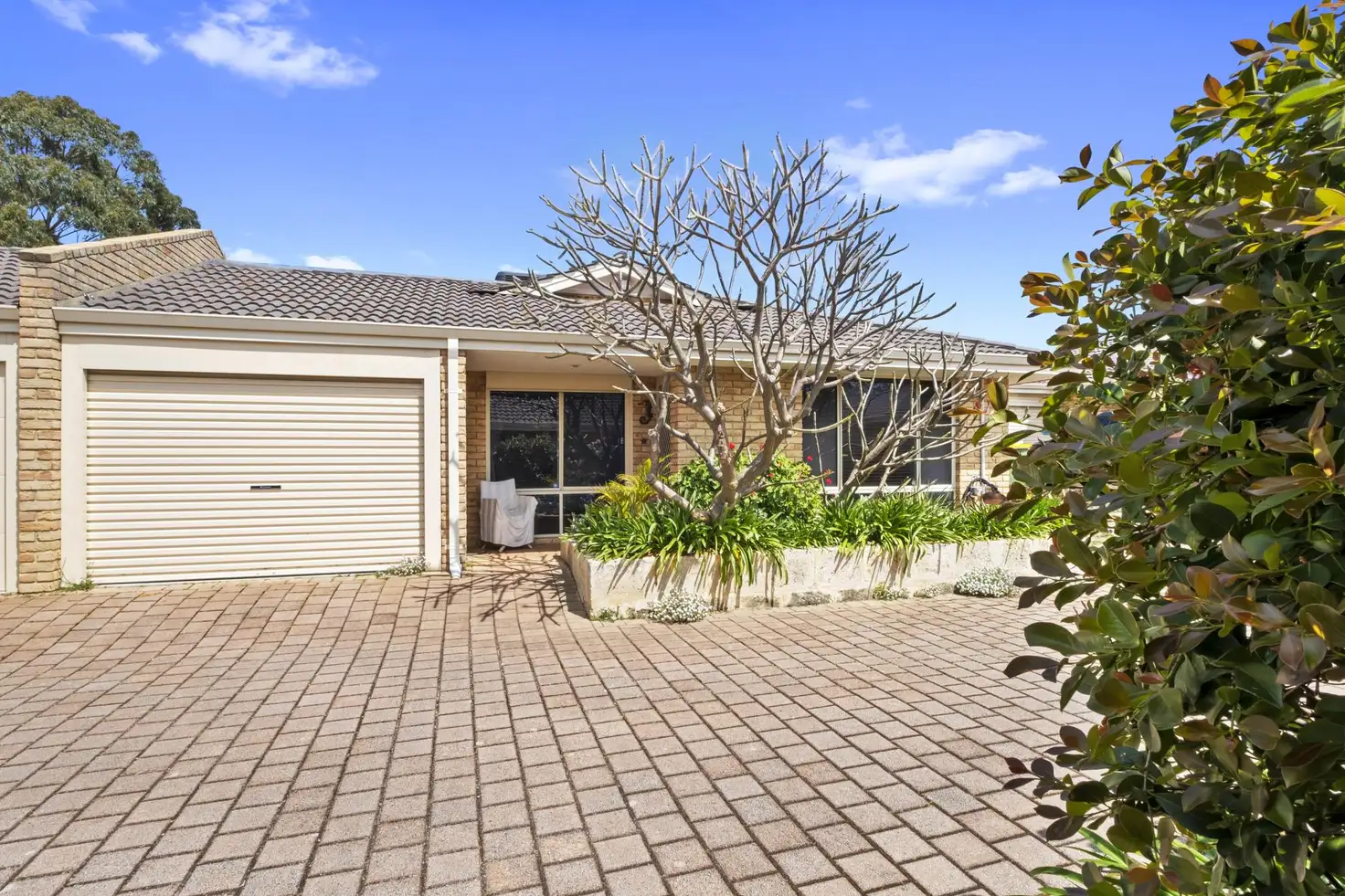 Main view of Homely villa listing, 2/8 -10 Webber Street, Willagee WA 6156
