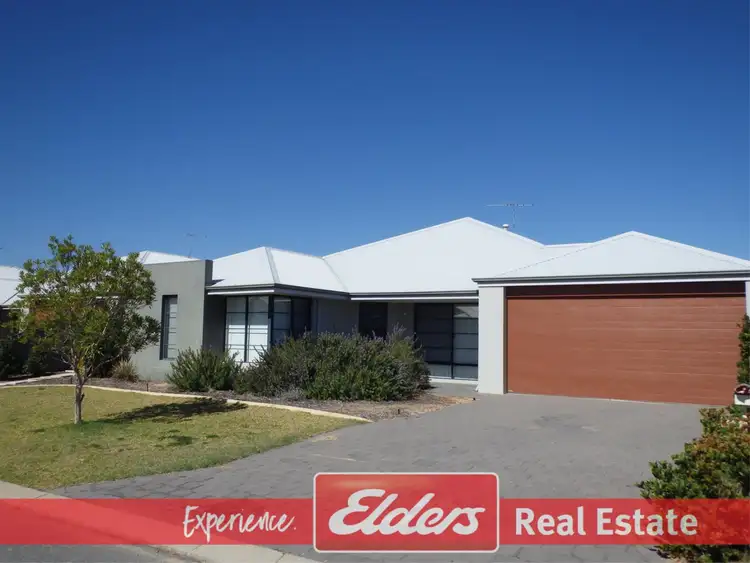 Main view of Homely house listing, 13 Galena Brace, Baldivis WA 6171