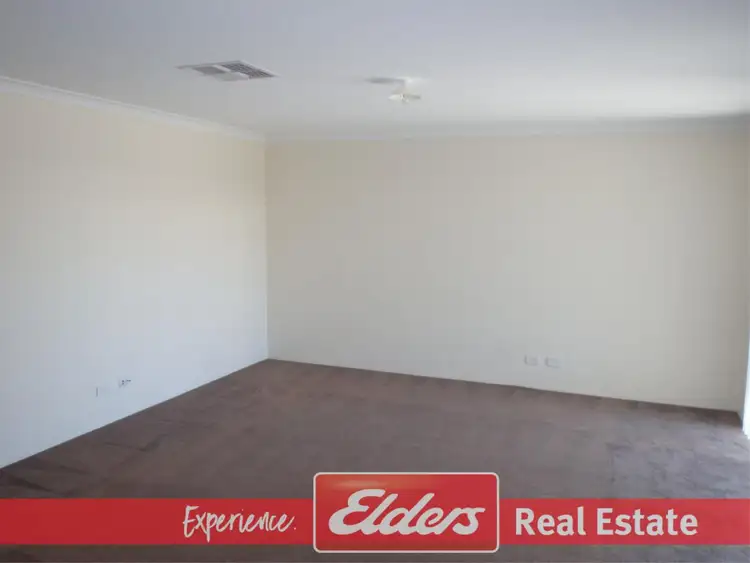 Sixth view of Homely house listing, 13 Galena Brace, Baldivis WA 6171