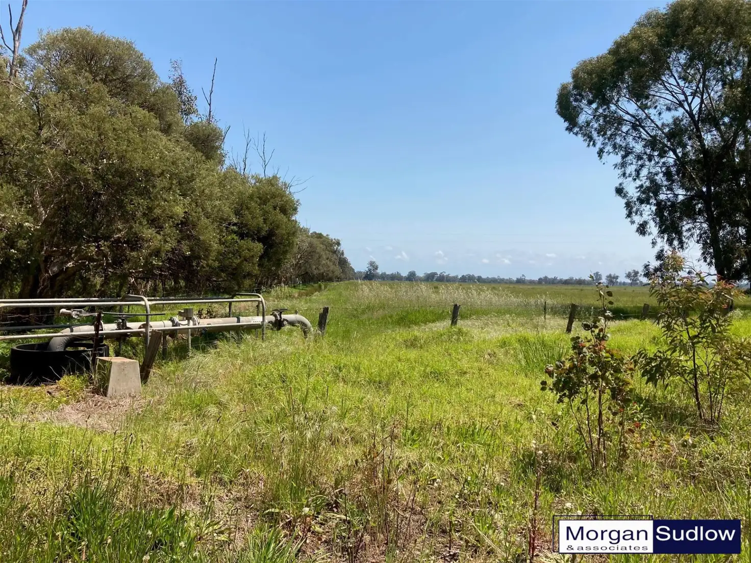 Main view of Homely rural property listing, Address available on request