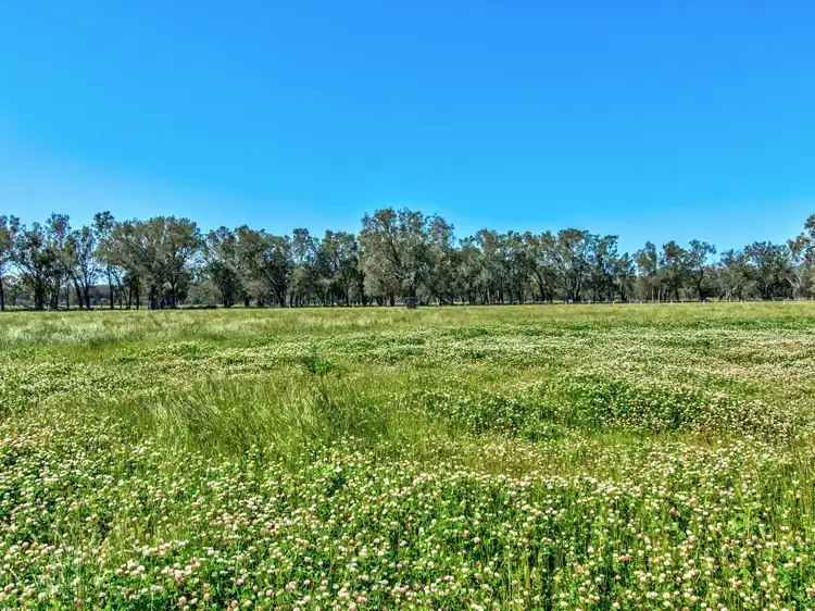 Fifth view of Homely rural property listing, 364 Summerfield Road, Mardella WA 6125