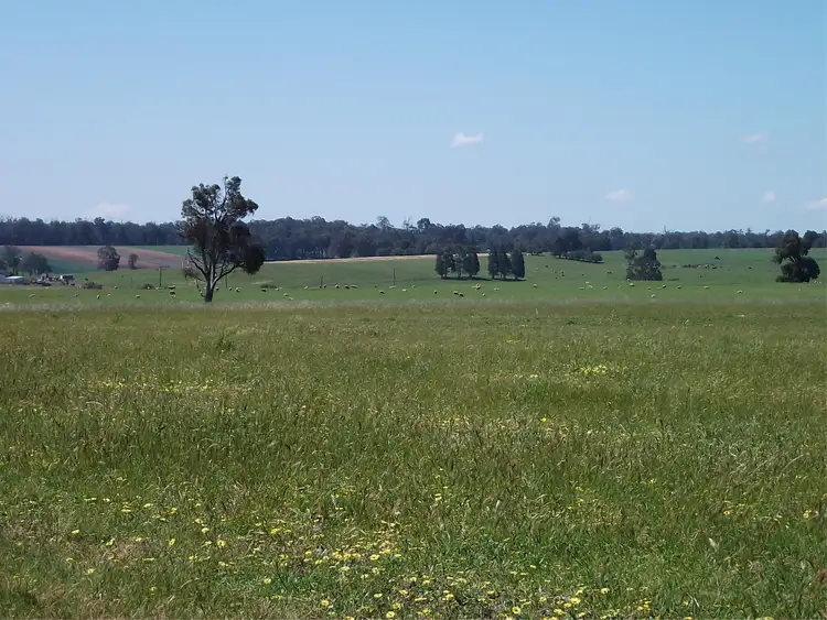 Seventh view of Homely rural property listing, Lot 200 Balbarrup Road, Manjimup WA 6258