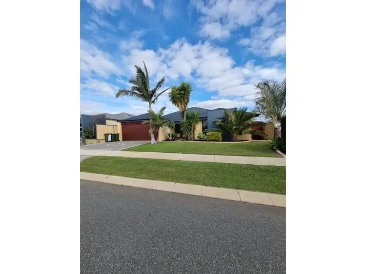 Main view of Homely house listing, 6 Ardea Way, Tapping WA 6065