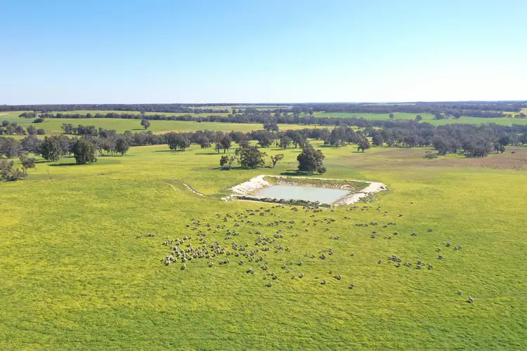 Main view of Homely rural property listing, 4560 Boyup Brook-Kojonup Road, Kojonup WA 6395