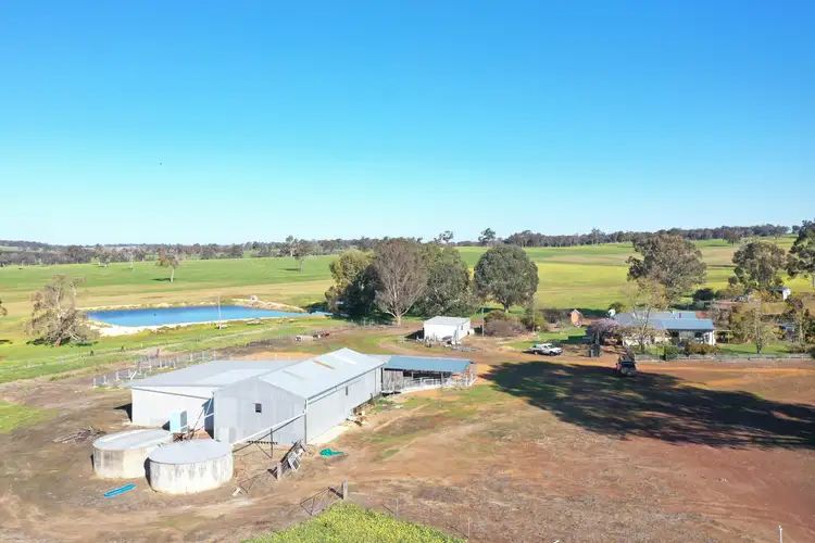 Fourth view of Homely rural property listing, 4560 Boyup Brook-Kojonup Road, Kojonup WA 6395