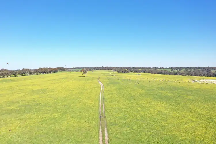 Seventh view of Homely rural property listing, 4560 Boyup Brook-Kojonup Road, Kojonup WA 6395