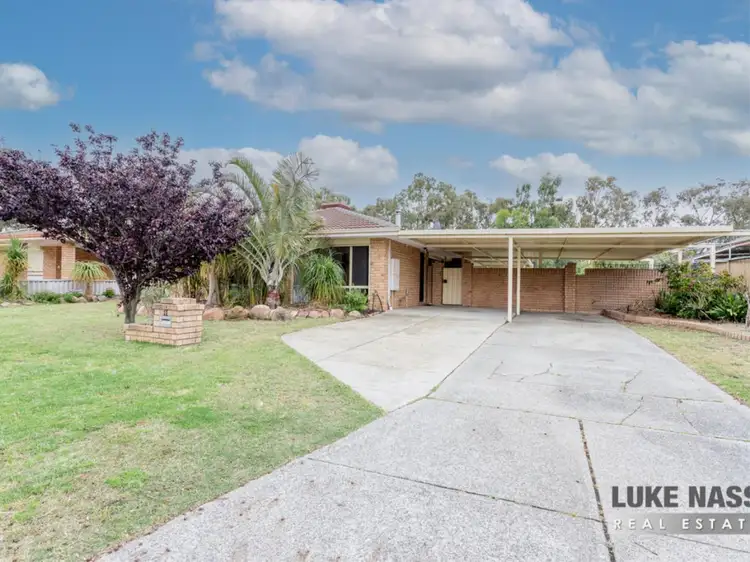 Main view of Homely house listing, 11 Wedgetail Court, Brookdale WA 6112
