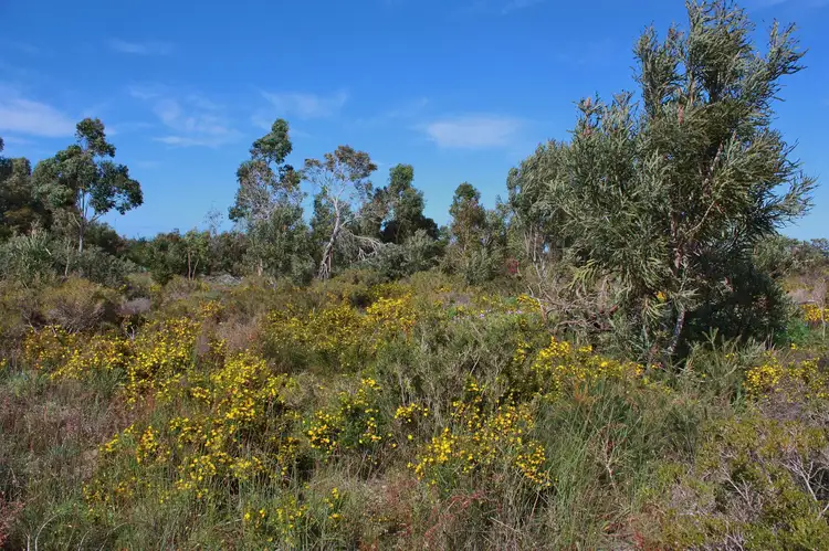 Third view of Homely land listing, 170 Darch Trail, Gabbadah WA 6041