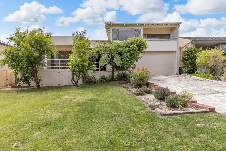 Main view of Homely house listing, 239 Swan Street, Yokine WA 6060