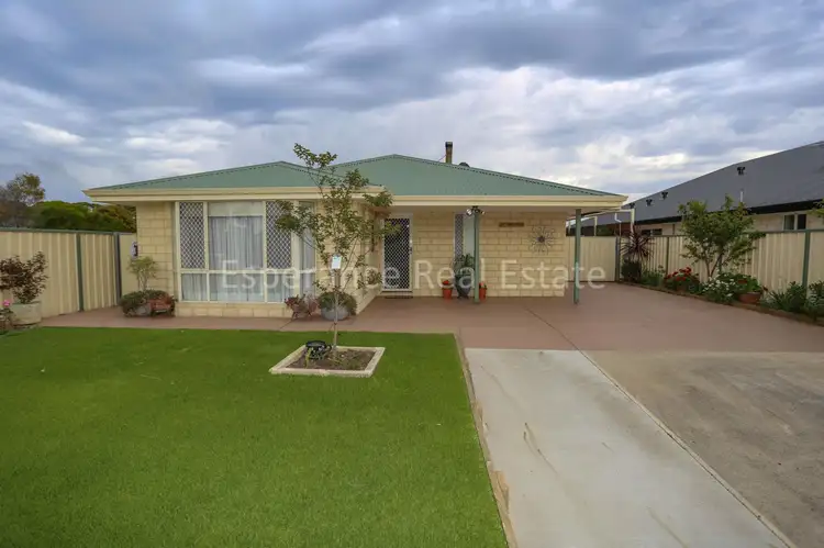 Main view of Homely house listing, 13 Princess Street, Pink Lake WA 6450