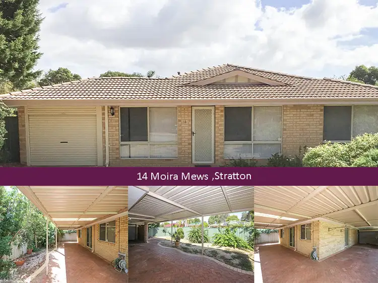 Main view of Homely house listing, 14 Moira Mews, Stratton WA 6056