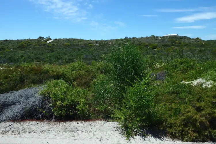 Third view of Homely rural property listing, Lot 312, Pindari Place, Karakin WA 6044