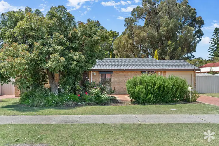 17 Chelmer Way, Willetton WA 6155