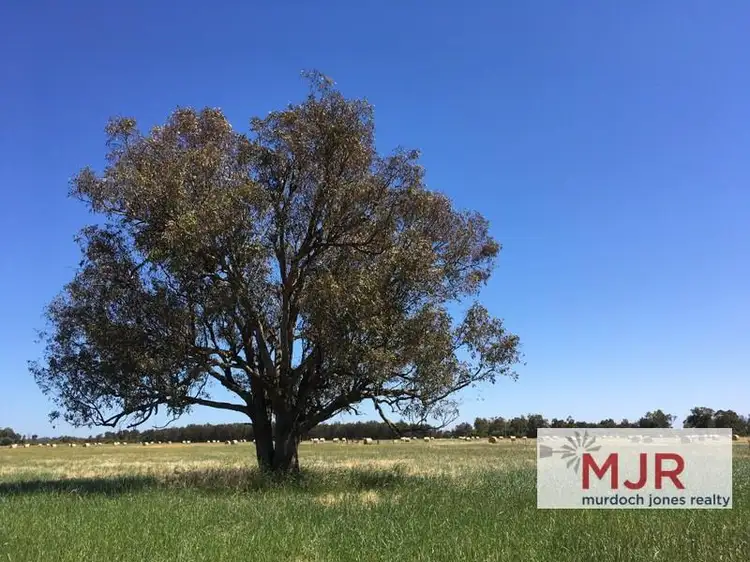 Second view of Homely land listing, Lot 32, Mundijong Road, Mardella WA 6125