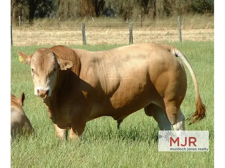 Third view of Homely land listing, Lot 32, Mundijong Road, Mardella WA 6125