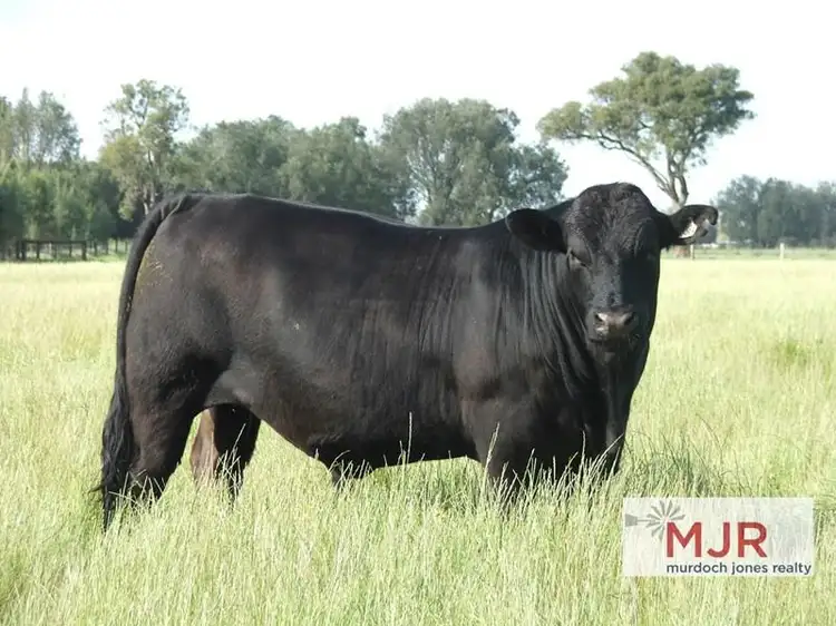 Fourth view of Homely land listing, Lot 32, Mundijong Road, Mardella WA 6125
