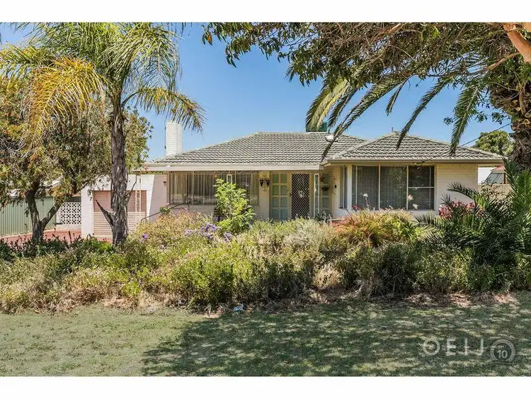Second view of Homely house listing, 3 Jackman Street, Willagee WA 6156