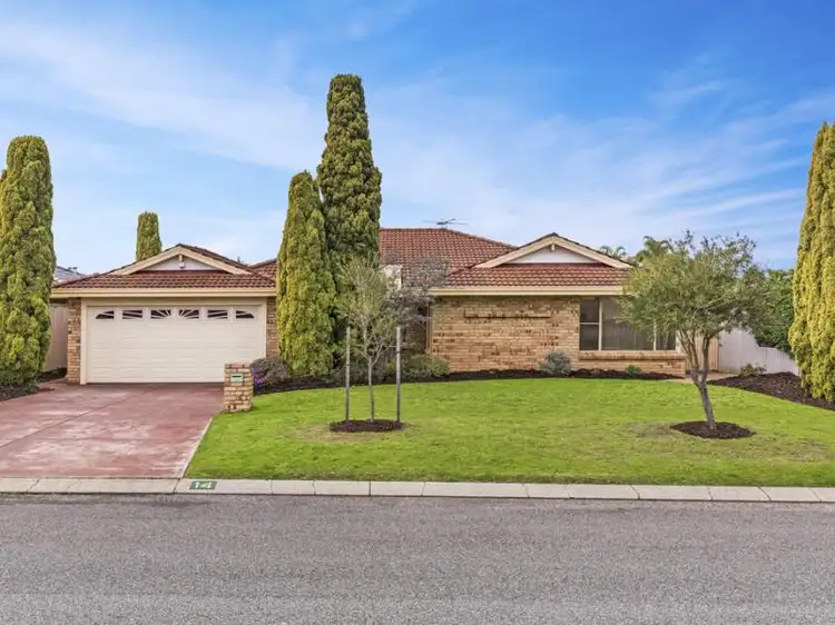 Main view of Homely house listing, 14 Ranford Loop, Kardinya WA 6163