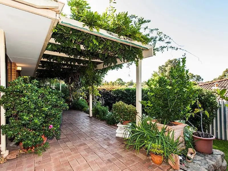 Main view of Homely house listing, 11 Buckingham Crescent, Kardinya WA 6163