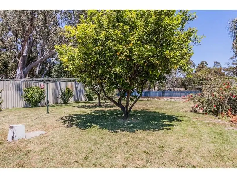 Main view of Homely house listing, 41B Lewis Road, Martin WA 6110