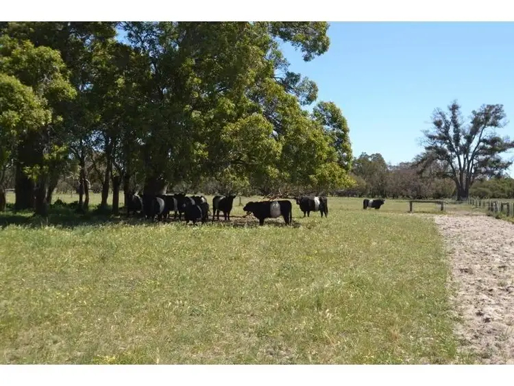 Fifth view of Homely land listing, Lot 104 Karnup Creek Road, Hopeland WA 6125
