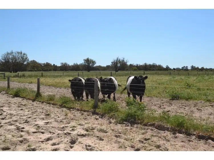 Sixth view of Homely land listing, Lot 104 Karnup Creek Road, Hopeland WA 6125
