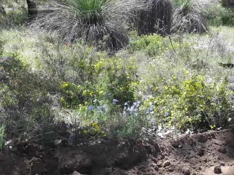 Third view of Homely land listing, 664 Coondle West Road, Toodyay WA 6566