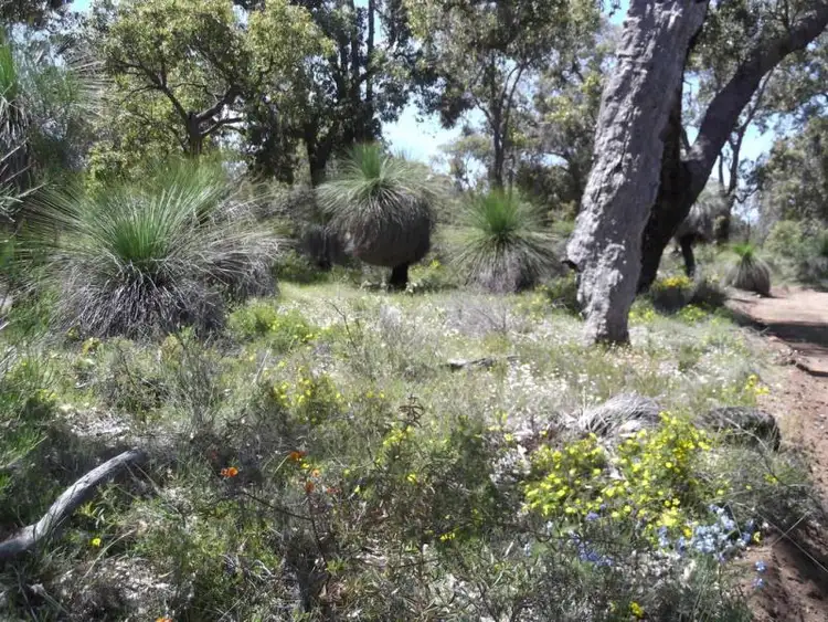 Fourth view of Homely land listing, 664 Coondle West Road, Toodyay WA 6566