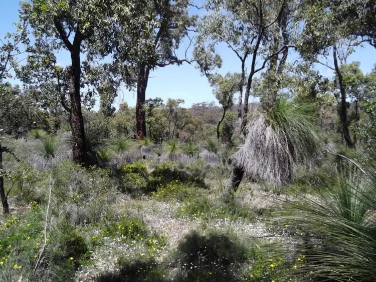 Fifth view of Homely land listing, 664 Coondle West Road, Toodyay WA 6566
