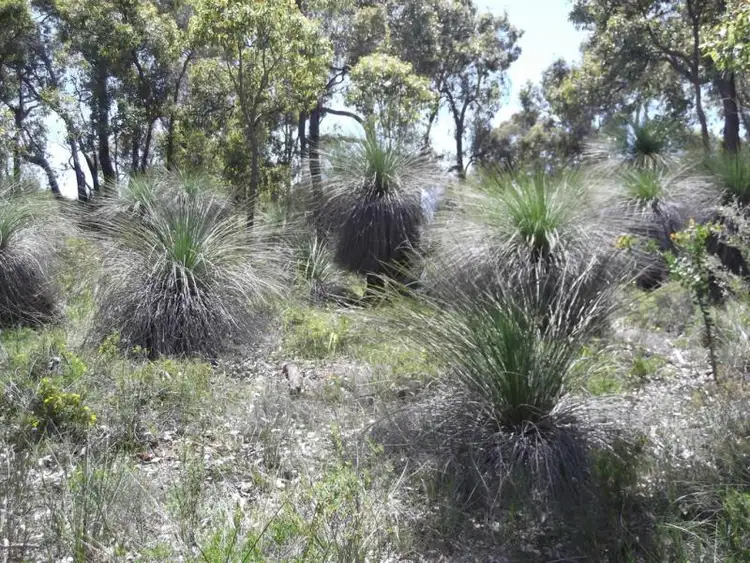 Sixth view of Homely land listing, 664 Coondle West Road, Toodyay WA 6566