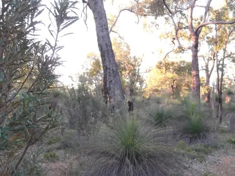 Seventh view of Homely land listing, 664 Coondle West Road, Toodyay WA 6566