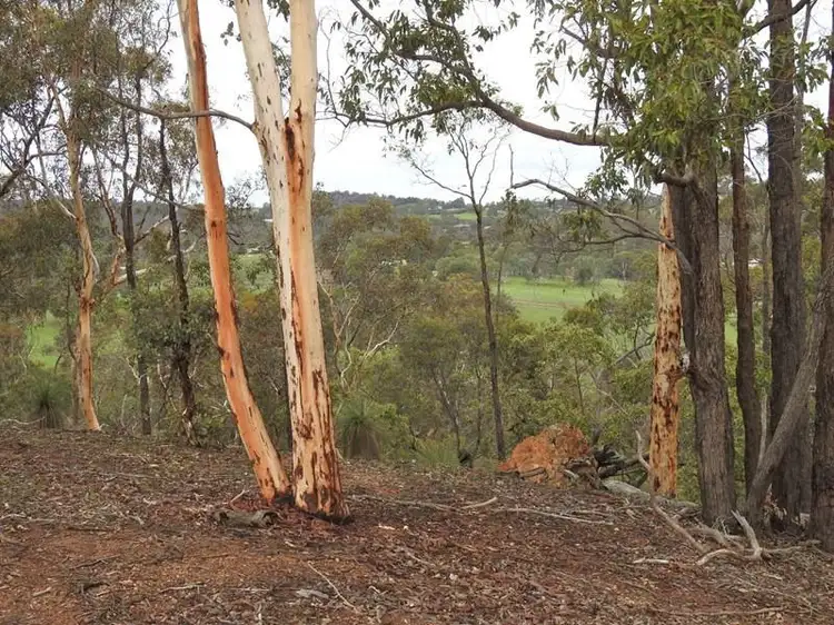 Fifth view of Homely land listing, 736 Chittering Road, Bullsbrook WA 6084