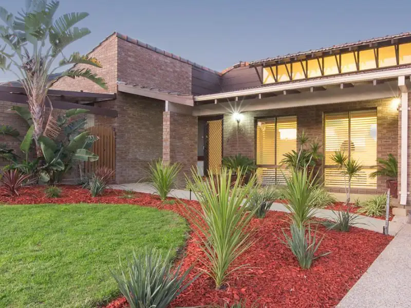 Main view of Homely house listing, 53 Granadilla Street, Duncraig WA 6023