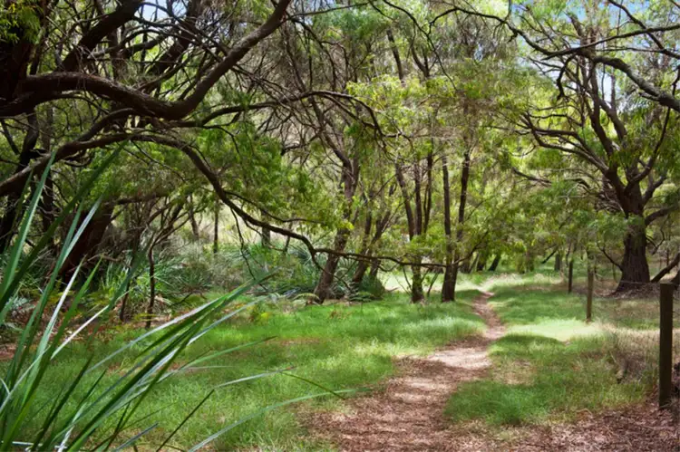 Seventh view of Homely land listing, Lot 90, Ashton Street, Margaret River WA 6285