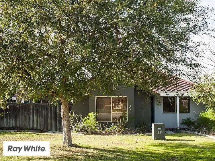 Third view of Homely house listing, 37 Millstream Grove, Ellenbrook WA 6069