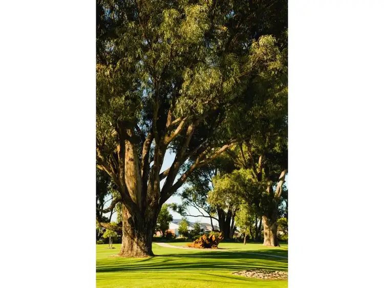 Main view of Homely land listing, LOT 502 Indigo Bend, Wellard WA 6170