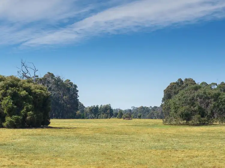 Main view of Homely land listing, Lot 111, 4321 Wallis Road, Witchcliffe WA 6286