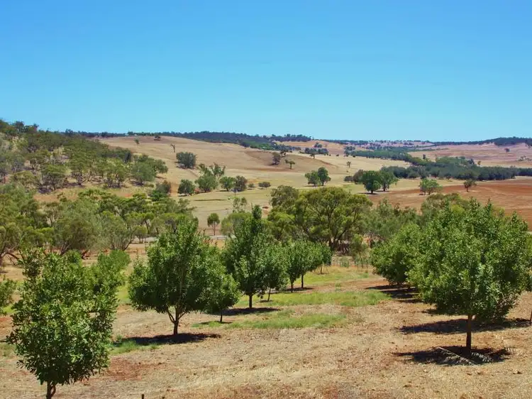 Third view of Homely rural property listing, 81 Wells Glover Road, Bindoon WA 6502