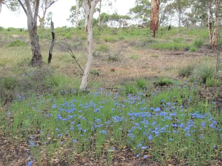 Fifth view of Homely land listing, Lot 34 Guernsey Rise, Lower Chittering WA 6084